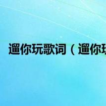 遛你玩歌词（遛你玩）