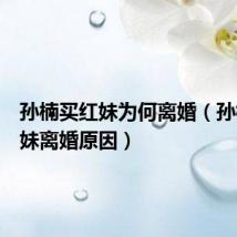 孙楠买红妹为何离婚(孙楠买红妹离婚原因)