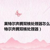 英特尔奔腾双核处理器怎么样(英特尔奔腾双核处理器)