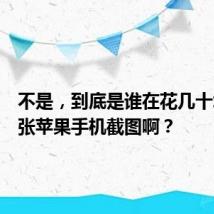 不是,到底是谁在花几十块买一张苹果手机截图啊?