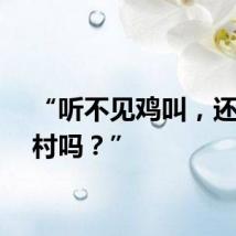 “听不见鸡叫，还是农村吗？”