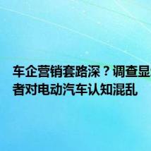车企营销套路深?调查显示消费者对电动汽车认知混乱