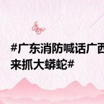 #广东消防喊话广西消防来抓大蟒蛇#