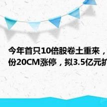 今年首只10倍股卷土重来,正丹股份20CM涨停,拟3.5亿元扩产能