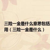 三险一金是什么意思包括什么作用（三险一金是什么）