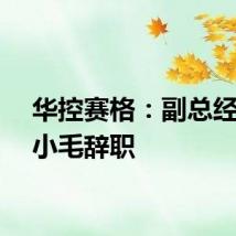 华控赛格：副总经理彭小毛辞职