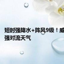 短时强降水+阵风9级!威海将迎强对流天气