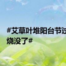 #艾草叶堆阳台节过完家烧没了#