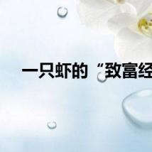 一只虾的“致富经”