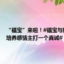 “福宝”来啦!#福宝与新奶爸培养感情主打一个真诚#
