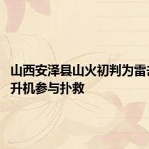 山西安泽县山火初判为雷击火 直升机参与扑救