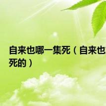 自来也哪一集死（自来也第几集死的）