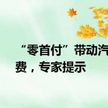 “零首付”带动汽车消费，专家提示