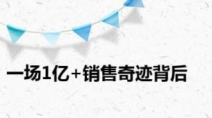 一场1亿+销售奇迹背后