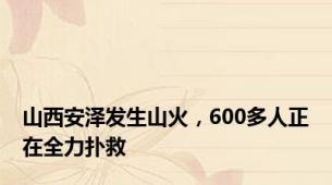 山西安泽发生山火，600多人正在全力扑救