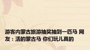 游客内蒙古旅游抽奖抽到一匹马 网友：活的蒙古马 你们玩儿真的