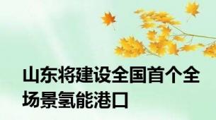 山东将建设全国首个全场景氢能港口