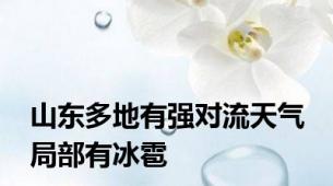 山东多地有强对流天气 局部有冰雹
