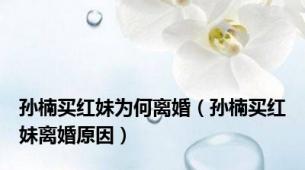 孙楠买红妹为何离婚（孙楠买红妹离婚原因）