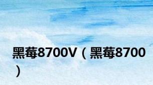 黑莓8700V（黑莓8700）