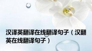 汉译英翻译在线翻译句子（汉翻英在线翻译句子）