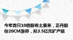 今年首只10倍股卷土重来，正丹股份20CM涨停，拟3.5亿元扩产能