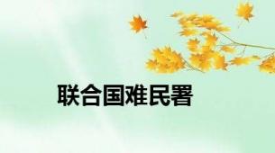 联合国难民署
