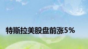 特斯拉美股盘前涨5%