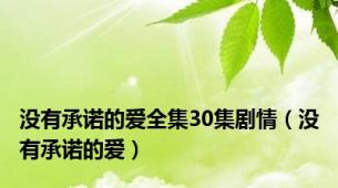 没有承诺的爱全集30集剧情（没有承诺的爱）