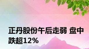 正丹股份午后走弱 盘中跌超12%