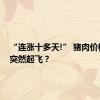 “连涨十多天!” 猪肉价格为何突然起飞？