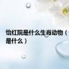 怡红院是什么生肖动物（怡红院是什么）