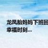 龙凤胎妈妈下班回家的幸福时刻...