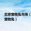 北京宠物兔市场（北京宠物兔）