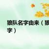 狼队名字由来（狼队名字）