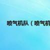 喷气机队（喷气机）