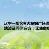 辽宁一旅客在火车站广场遭雷击倒地波及同伴 官方：无生命危险