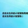 适合女生养的小型宠物有哪些（适合女生养的小型宠物）