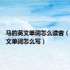 马的英文单词怎么读音（马的英文单词怎么写）