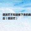 很迷茫不知道接下来的路该怎么走（很迷茫）