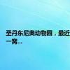圣丹东尼奥动物园，最近迎来了一窝...