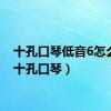 十孔口琴低音6怎么吹（十孔口琴）