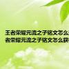 王者荣耀元流之子铭文怎么选择 王者荣耀元流之子铭文怎么获得