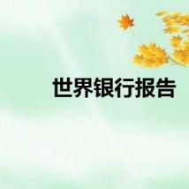 世界银行报告
