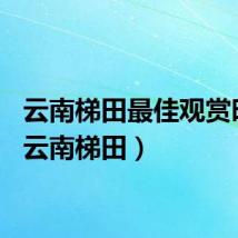 云南梯田最佳观赏时间（云南梯田）