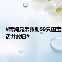 #青海兄弟救助59只国宝全部成活并放归#