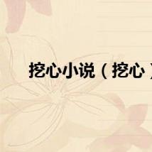 挖心小说（挖心）