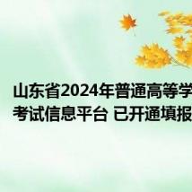 山东省2024年普通高等学校招生考试信息平台 已开通填报