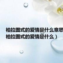 柏拉图式的爱情是什么意思详解(柏拉图式的爱情是什么)