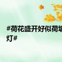 #荷花盛开好似荷塘绽花灯#